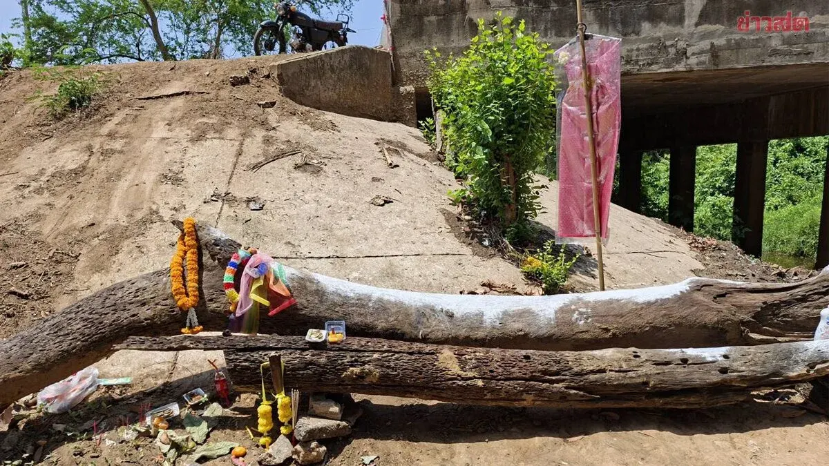 Lucky Numbers from the Takian Tree: Entire Village Hits Lottery After Previous Draw