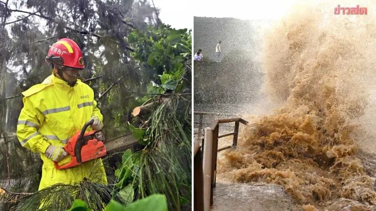 Typhoon Bavi Weakens; China Battles Thousands of Fallen Trees