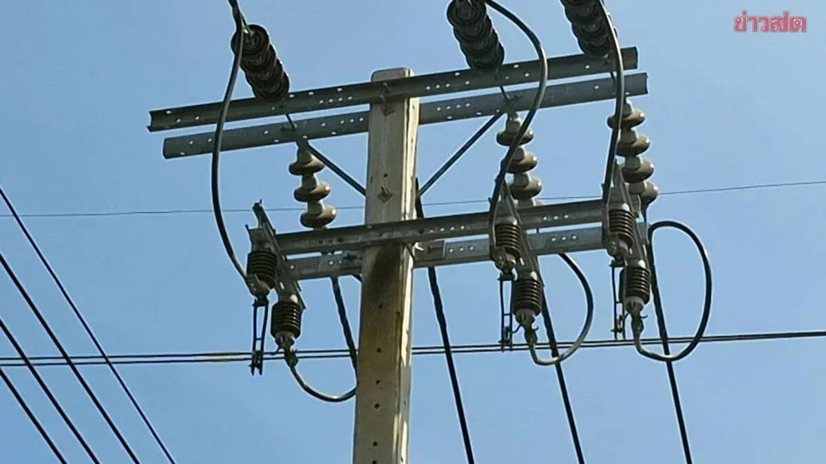 Close Call on Labor Day: 18-Year-Old Worker Electrocuted While Installing Animal Netting on Power Pole
