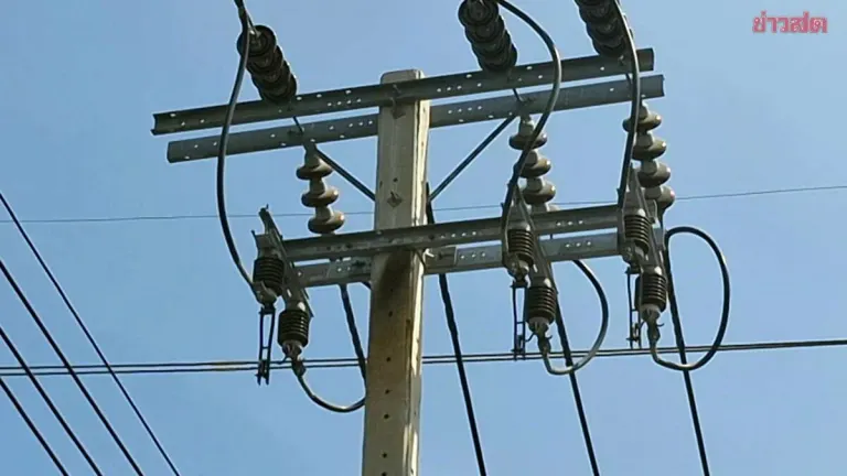 Close Call on Labor Day: 18-Year-Old Worker Electrocuted While Installing Animal Netting on Power Pole