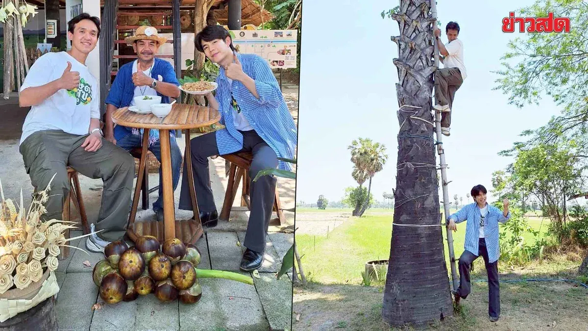 Tone Tarre and Jook Bee Venture to Phetchaburi to Climb Palm Trees and Explore the Nearly Vanishing Palm Tapper Profession
