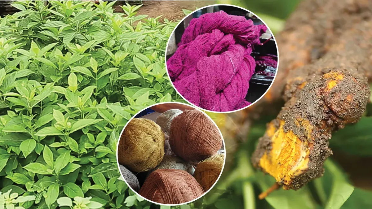Karen Weavers Keep Ancient Plant-Dye Tradition Alive