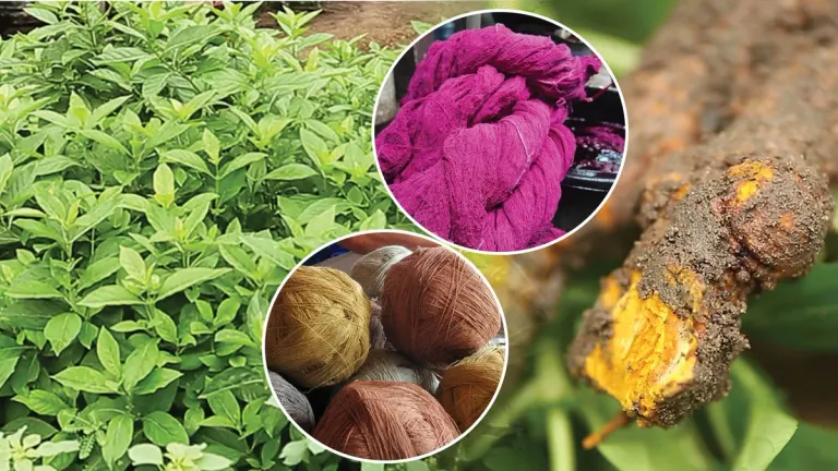 Karen Weavers Keep Ancient Plant-Dye Tradition Alive