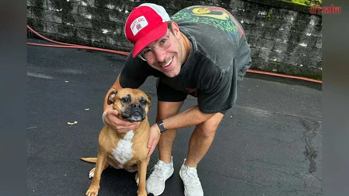 New York Dog Walker Reveals Lucrative Side Hustle: Nearly 200,000 Baht Monthly Income