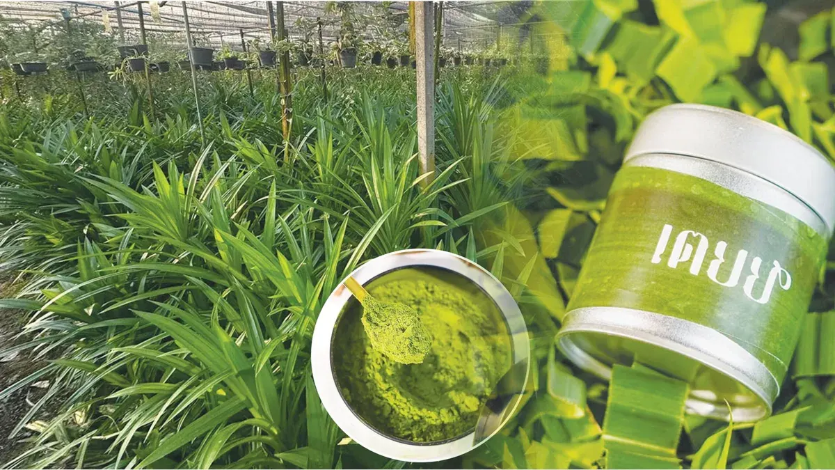 Baker Transforms Humble Pandan Leaf Into Premium Product