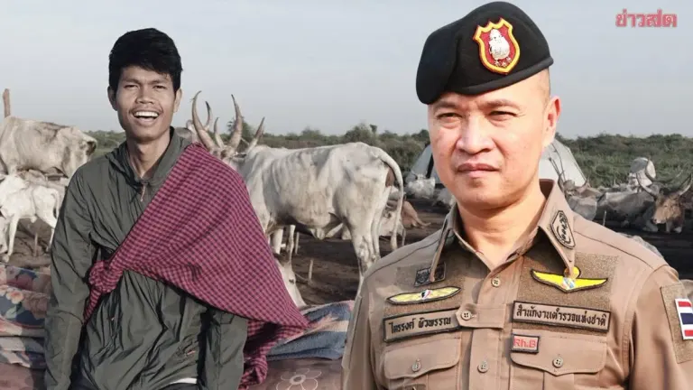 Thai Police Clarify Georgia Investigation Framework in Death Case