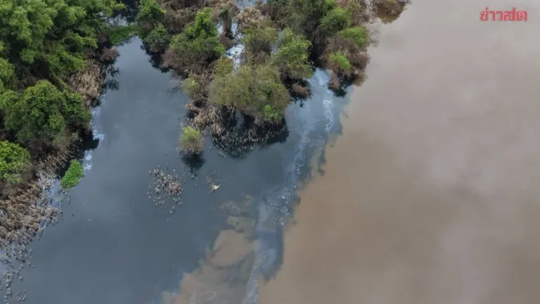 Pollution Department Corrects Water Data in Prachinburi Fish Kill