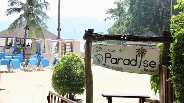 Phuket Launches Forest Encroachment Investigation
