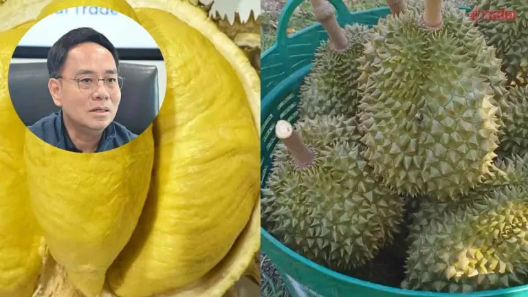 Thai Durian Prices Plunge as China Slows Imports