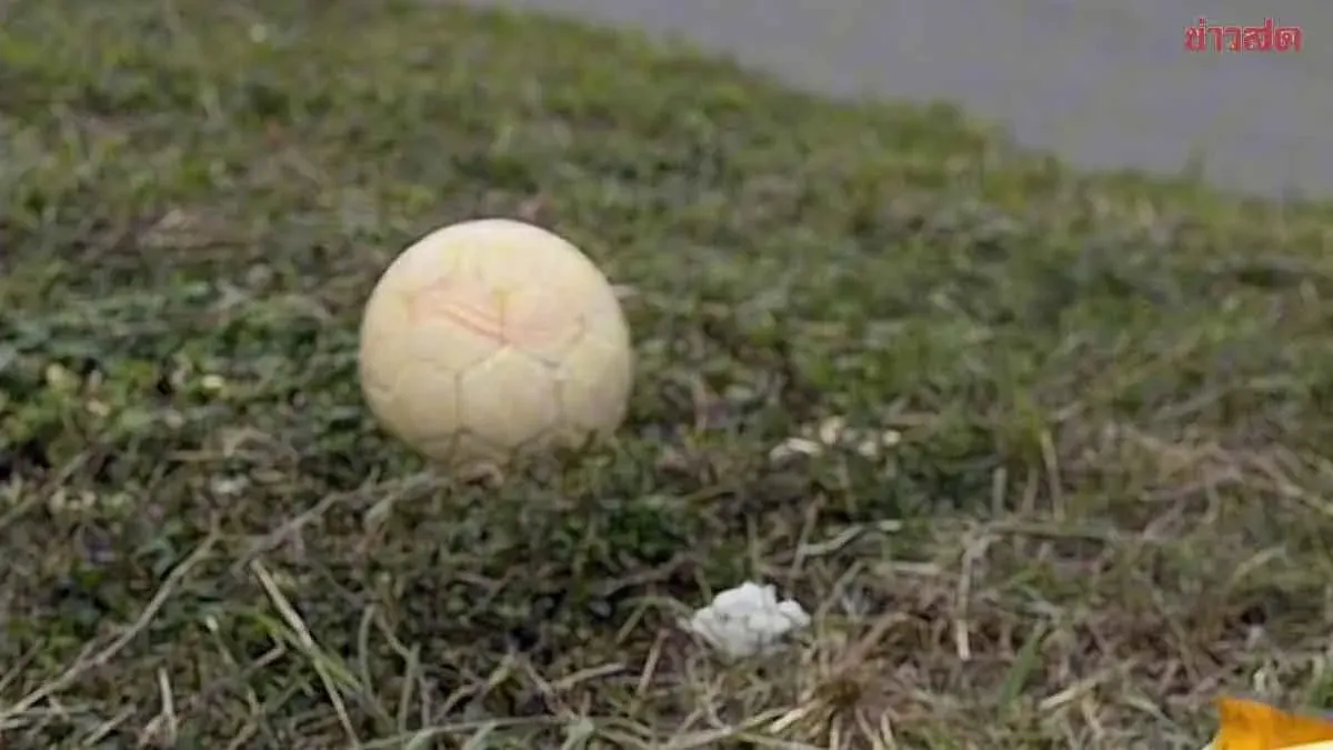 Eight-Year-Old Boy Killed by Pickup After Chasing Ball Into Road