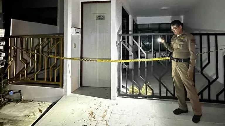 Chinese woman, child injured in domestic dispute knife attack
