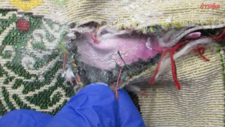 Drug Police Hunt Man in Jacket Over Suspicious Package to Flight Attendant