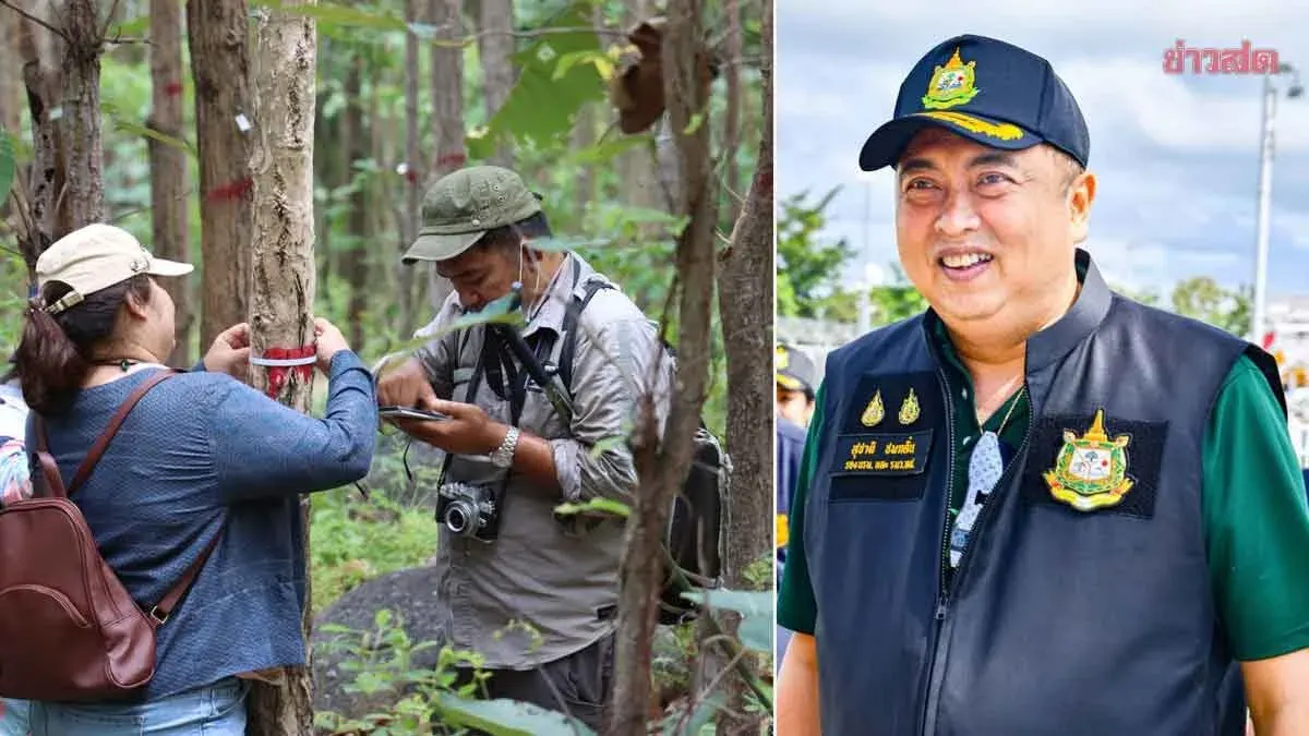 Suchart Champions PM's Community Forest and Carbon Credit Policy to Generate Income and Improve Quality of Life