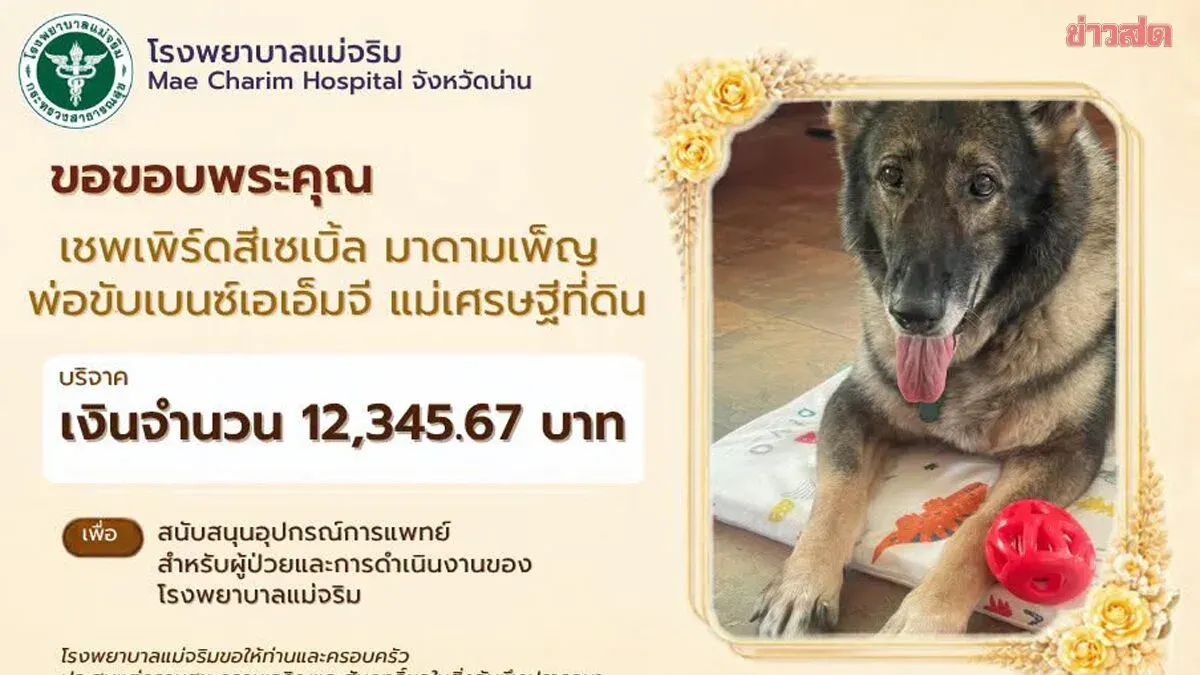 Pet Owners' Viral Donations Overwhelm Mae Charim Hospital in Nan