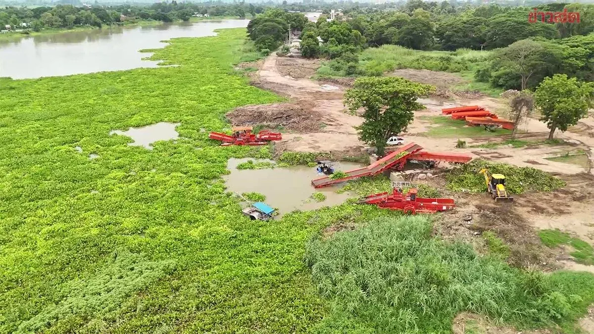 Preparing for Monsoon Season: Chao Phraya Dam Mobilizes Machinery to Clear Tens of Thousands of Water Hyacinths Upstream
