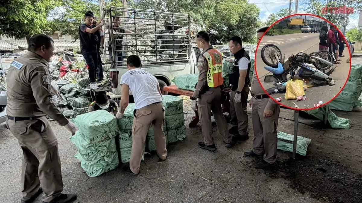 Myanmar Driver Arrested After Hit-and-Run, 8 Million Meth Pills Found
