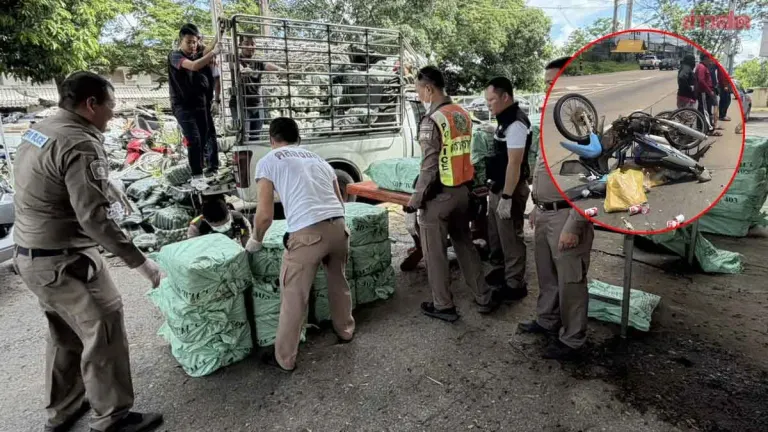 Myanmar Driver Arrested After Hit-and-Run, 8 Million Meth Pills Found