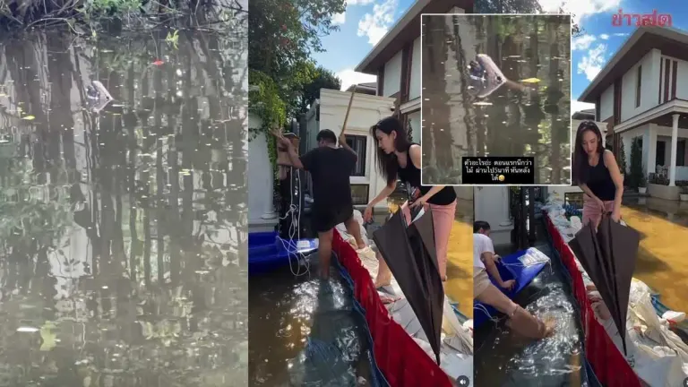 Actress Aum Patchrapa Startled by Possible Snake in Floodwater