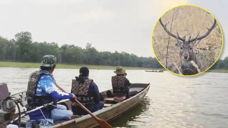 Diverse Tourism - Boat Tours to Spot Wildlife in Rabam Subdistrict, Experience the Natural Wonders of Huai Kha Khaeng