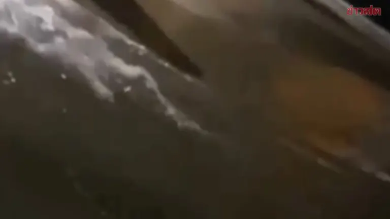 Foreign Couple's Beach Conduct Sparks Online Outrage