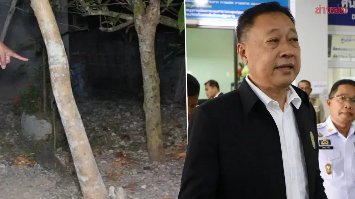 Phatthalung Governor Orders Urgent Investigation into Subdistrict Chief's Use of Low Court Under Mango Tree; Must Be Completed Within 15 Days