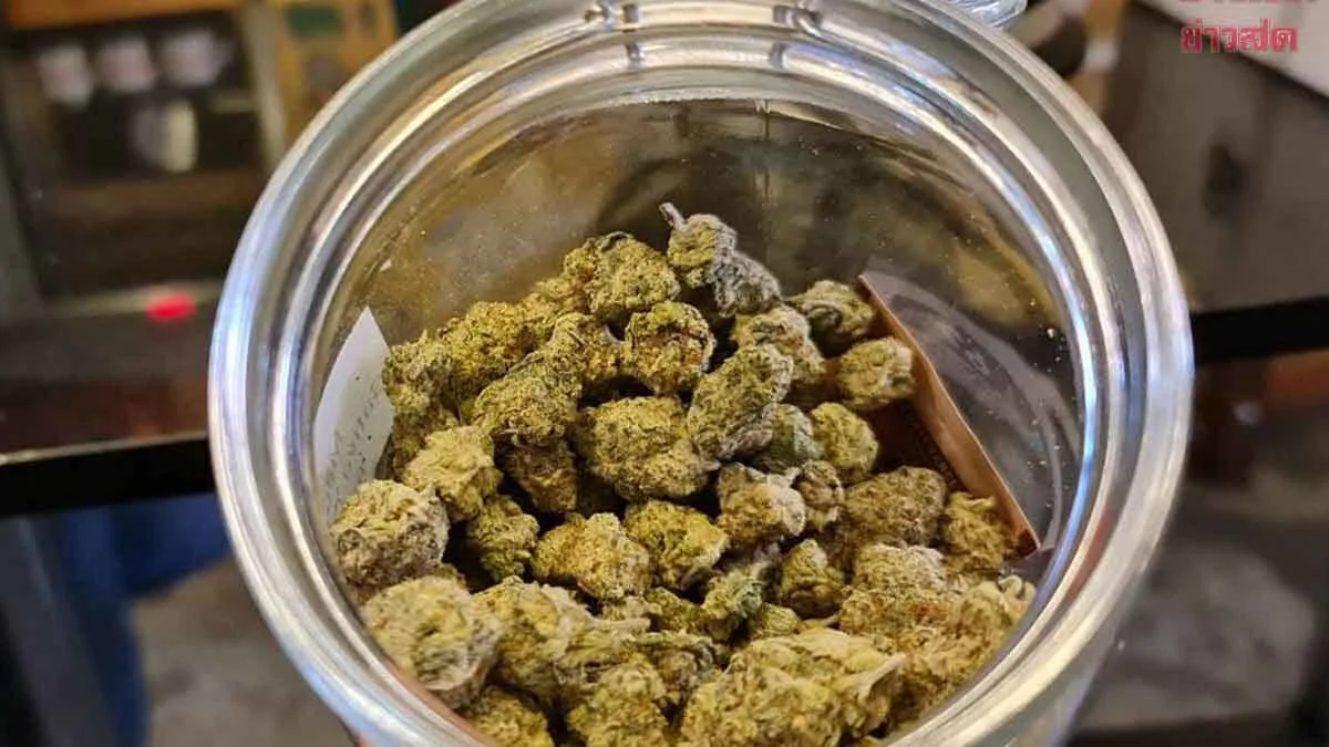 New Ministerial Regulation Tightens Cannabis Control: Medical Use Limited to Hospitals and Herbal Shops Only