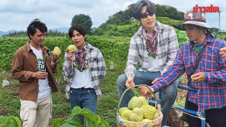TV Hosts Reveal Sweet Papaya Growing Secrets in Chanthaburi